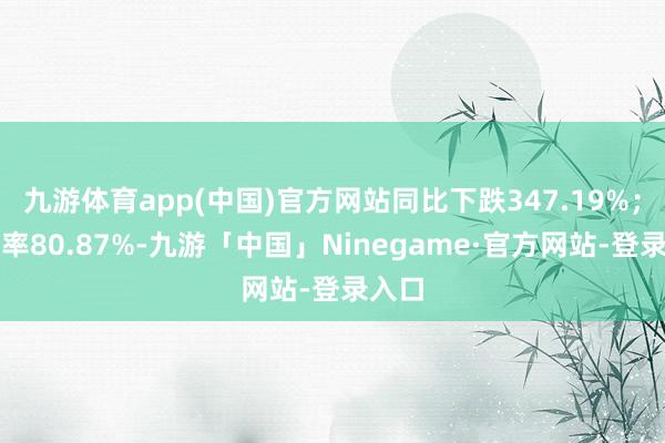 九游体育app(中国)官方网站同比下跌347.19%；欠债率80.87%-九游「中国」Ninegame·官方网站-登录入口