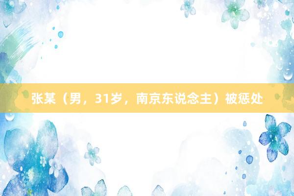 张某（男，31岁，南京东说念主）被惩处