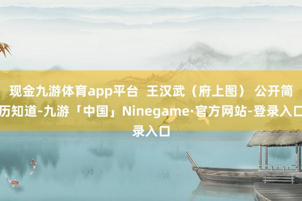 现金九游体育app平台  王汉武（府上图） 公开简历知道-九游「中国」Ninegame·官方网站-登录入口