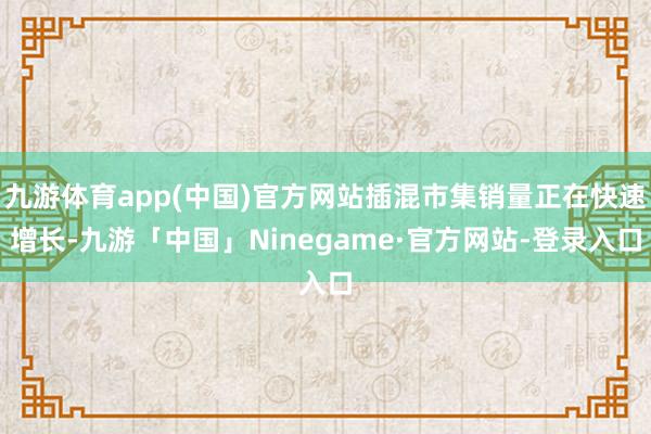 九游体育app(中国)官方网站插混市集销量正在快速增长-九游「中国」Ninegame·官方网站-登录入口