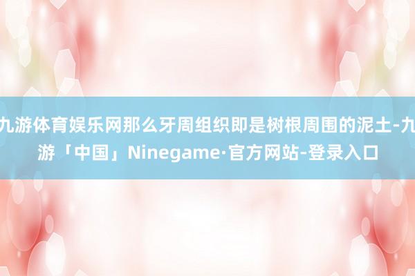 九游体育娱乐网那么牙周组织即是树根周围的泥土-九游「中国」Ninegame·官方网站-登录入口